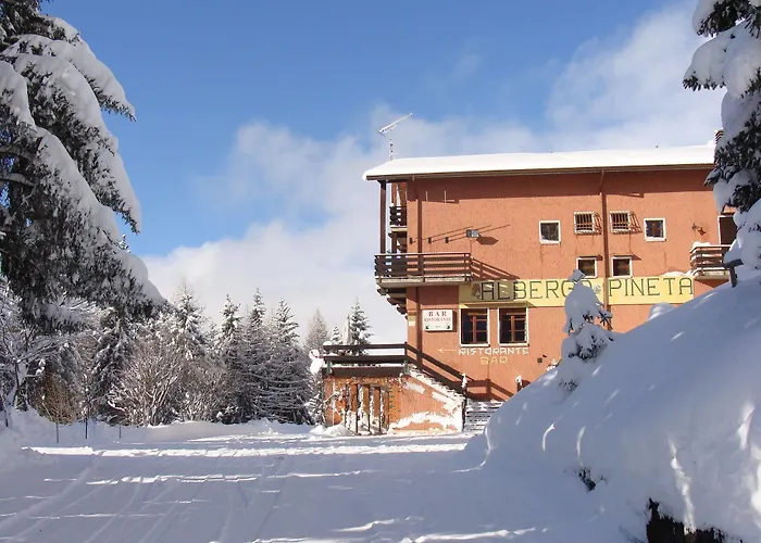Ristorante Pineta Hotel